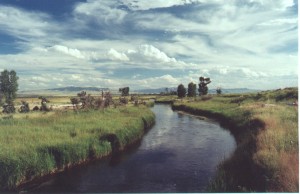 Albers Springcreek on Open A Ranch near Dillon, Montana.