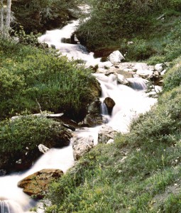 Trapper Creek Cascasde in Beaverhead County, Montana.