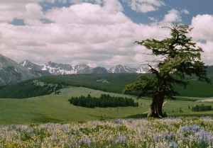 Vipond Park in Beaverhead County, Montana.